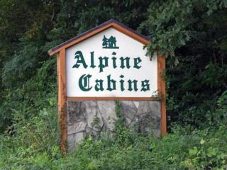 Jacuzzi, Fireplace, Nature, Views, Peaceful, Patio - Blairsville - 7