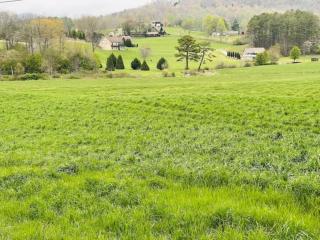 Jacuzzi, Fireplace, Nature, Views, Peaceful, Patio - Blairsville - 6