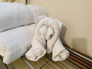 Jacuzzi, Fireplace, Nature, Views, Peaceful, Patio - 5