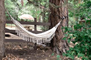 Vintage Mountain Retreat - Sugarloaf - 2