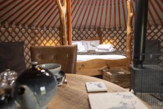 Swallow - 9
