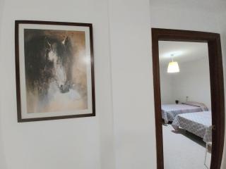 Top Suite Apartment Jerez Jardín y Patio - Jerez de la Frontera - 5