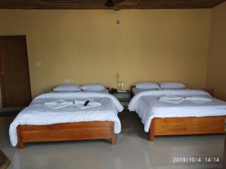Resort Gorumara Riverside - Lataguri - 3
