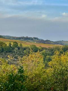 La cabotte du renard - 6