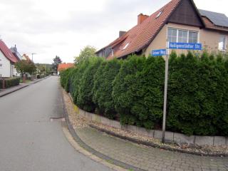 Ferienwohnung Eichweg - Bad Sooden-Allendorf - 9