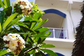 Daeli Apartment - Kendwa - 3