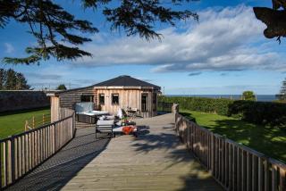 The Treehouse - 6