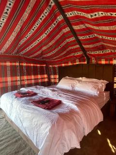 Mirage Desert Camp - 5