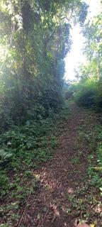 Rwekyapa Agro eco-tourism and learning center - - 6