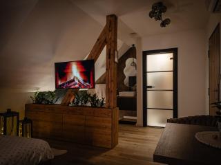 Apartmán Loft - Nová Baňa - 9