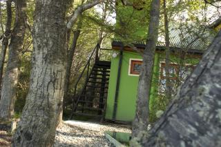 USHUAIA VALLE de ANDORRA CARDOS y MAICES - 8