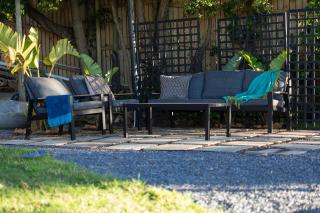 The Trees of Zar - Kapstadt - 3