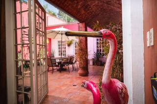 Casa Flamingos en el centro de Tlaquepaque - Guadalajara - 0