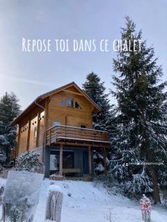Chalet authentique au calme, en lisière de forêt, montagne, sentiers 15mn Gérardmer & Alsace "Chalet Mon beau sapin" - 9