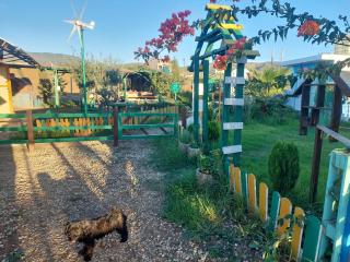 Chez le fermier Ferme pédagogique - 8