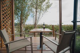 Pizzorno Lodge & Wine - Progreso - 4