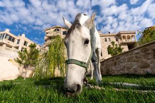 Be Still Alexa Smart Luxury Escape Adults Only - Nevşehir - 5