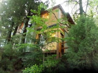 Abrigo del Bosque - 9