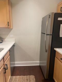 Chic 1 bedroom condo Downtown Denver - 2