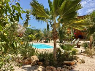 The Octopus Tropical Oasis - 3