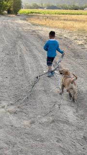 Tiny House in Kashka Suu Village - 2