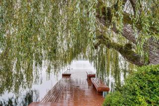 Spanaway Lakefront House Dock, Fire Pit - Spanaway - 9