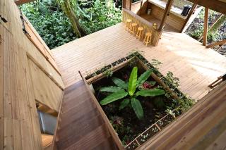 Madre Selva Eco Lodge - 3