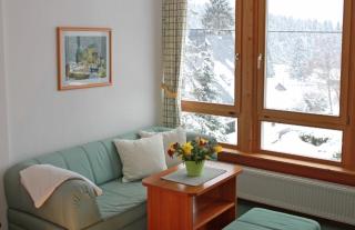 Ferienhotel Mühlleithen - Klingenthal - 5