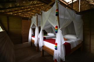 Madre Selva Eco Lodge - Nuquí - 0