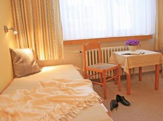 Ferienhotel Mühlleithen - Klingenthal - 8