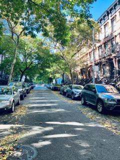 Harlem Grand - 6