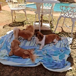 Recanto Ganesha Pousada - 8