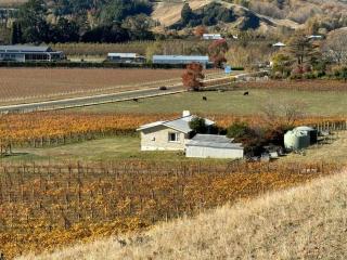 Three Fifty Cottage - Havelock North - 2