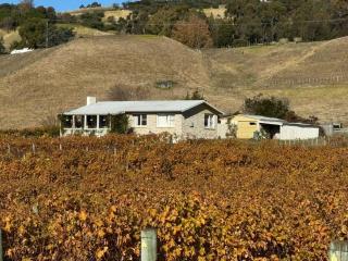 Three Fifty Cottage - Havelock North - 1