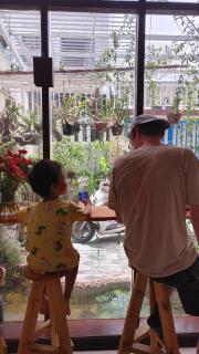 Phe's House - Danang - 8