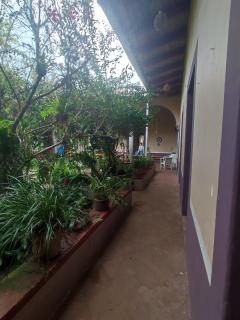 Casa Morfo Cultura - Coatepec - 5