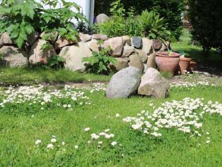 Ostseewelle Comfortable holiday residence - Middelhagen - 5
