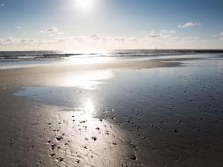 Hausmann's apartment city location - Norderney - 5