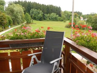 Lautertal in Landhaus Anja - Freudenstadt - 4