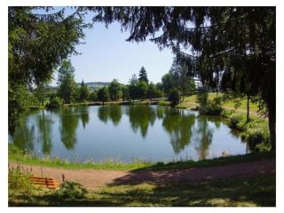 Comfortable holiday residence on the lake - Herrischried - 9