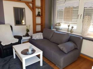 Hof Heine Comfortable holiday residence - Zetel - 3
