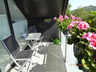 Helga Willing Comfortable holiday residence - Meschede - 9