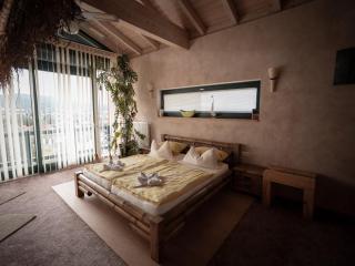 Tranquil holiday home in Blossersberg Bavaria offering private terrace with country views - Viechtach - 7