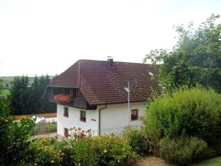 Matt Comfortable holiday residence - Herrischried - 0