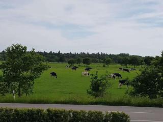 Country House East Frisia - Großheide - 8