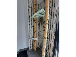 EifelNest Comfortable - Simmerath - 4