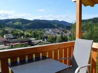 Roth Comfortable Holiday Residence - Oppenau - 6
