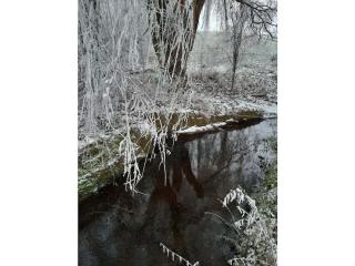 Josephine Zöller House - 3