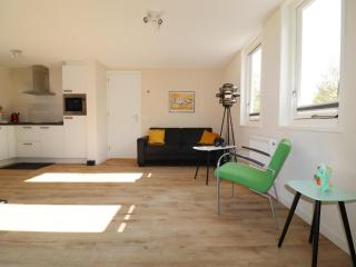 Chalet in Friesland near Large Lakes - 8