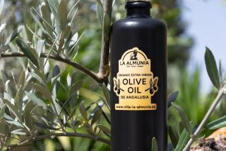 Andalusische Luxus-Finca Villa La Almunia Garden Ronda - 5